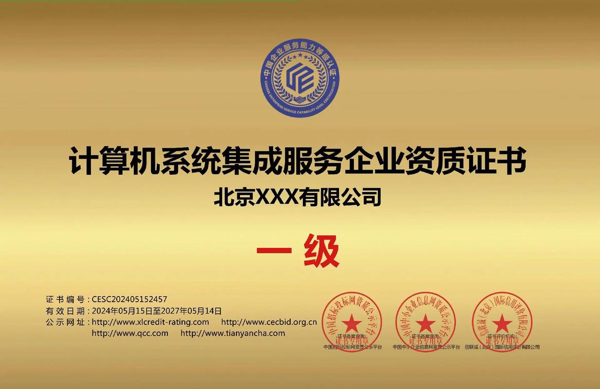 計算機(jī)系統(tǒng)集成服務(wù)一級證書 行業(yè)標(biāo)準(zhǔn)與專業(yè)價值