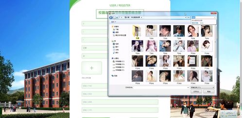 基于Django與Vue的校園志愿者服務管理系統設計與實現